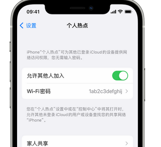 南陵apple服务站点分享iPhone上个人热点丢失了怎么办 