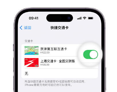 南陵apple维修点分享iPhone上更换Apple Pay快捷交通卡手绘卡面 