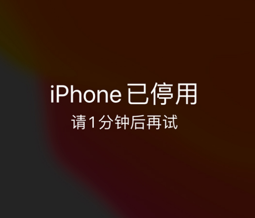 南陵苹果手机维修分享:iPhone 显示“不可用”或“已停用”怎么办？还能保留数据吗？ 