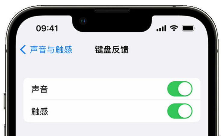 南陵苹果手机维修分享iPhone 14触感键盘使用方法 