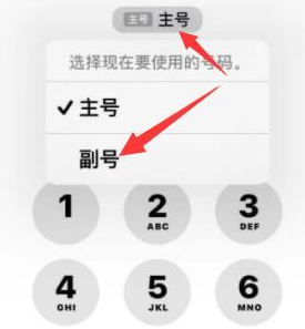 南陵苹果14维修店分享iPhone 14 Pro Max使用副卡打电话的方法 