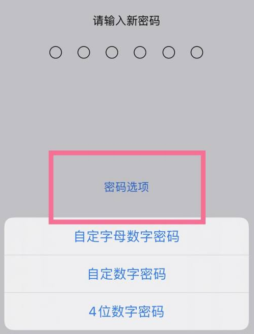 南陵苹果14维修分享iPhone 14plus设置密码的方法 