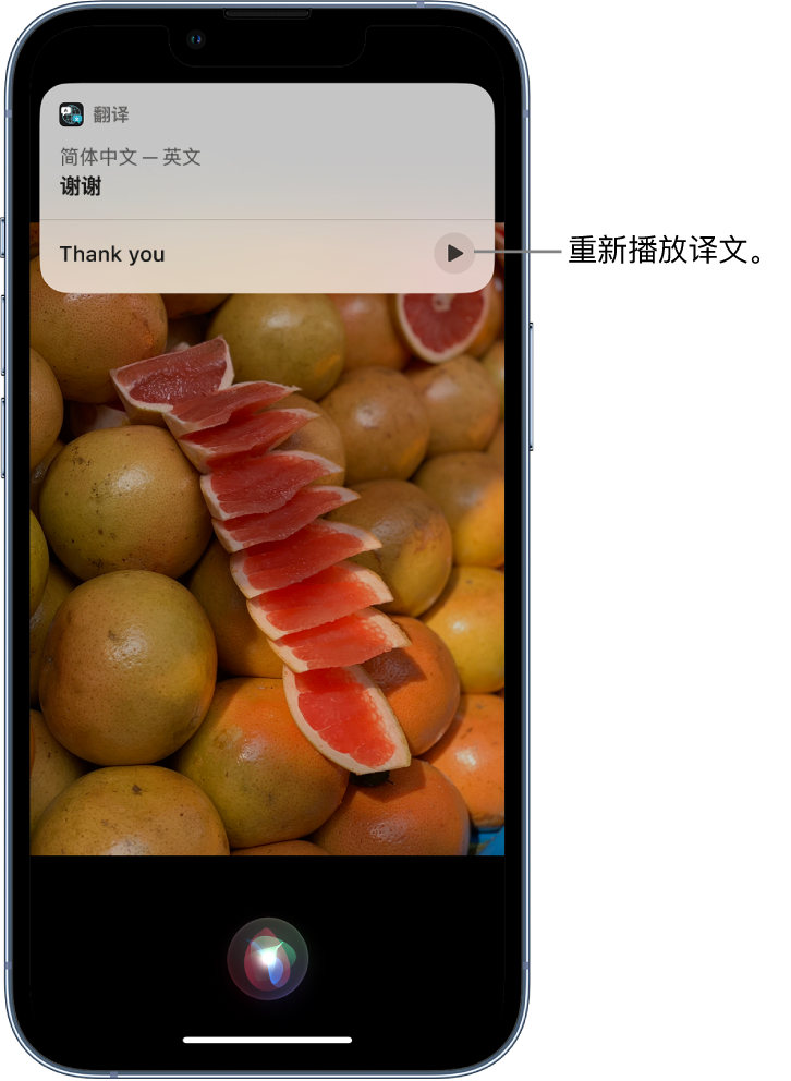 南陵苹果14维修分享 iPhone 14 机型中使用 Siri：了解 Siri 能帮你做什么 