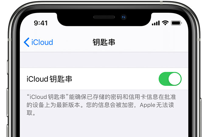 南陵苹果手机维修分享在 iPhone 上开启 iCloud 钥匙串之后会储存哪些信息 